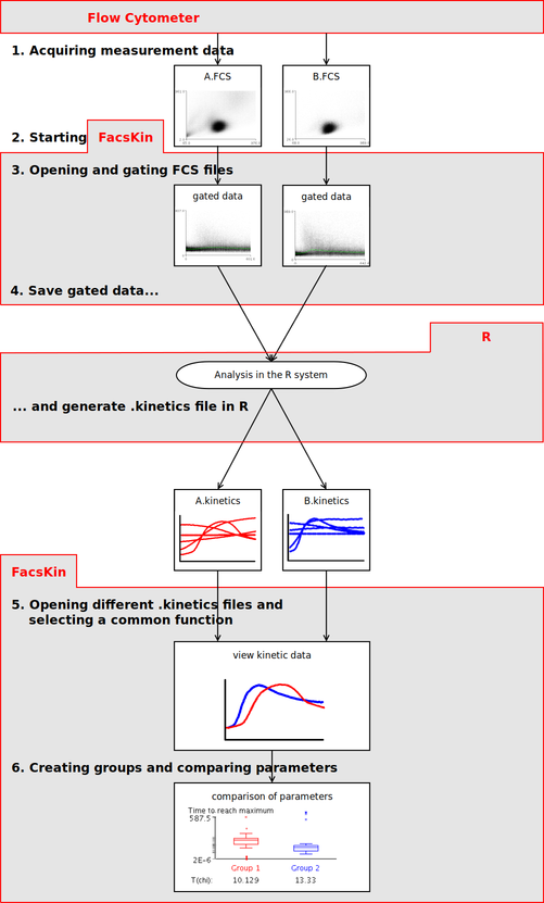 Figure 2. Steps of data analysis with FacsKin